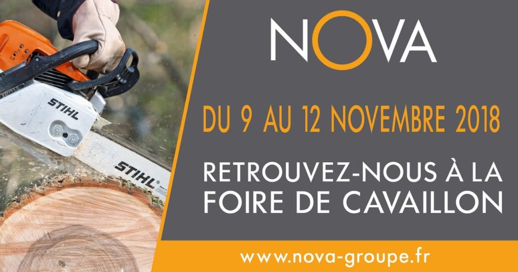 foire cavaillon novembre 2018