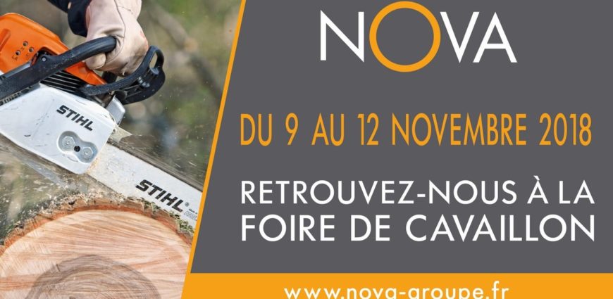 foire cavaillon novembre 2018