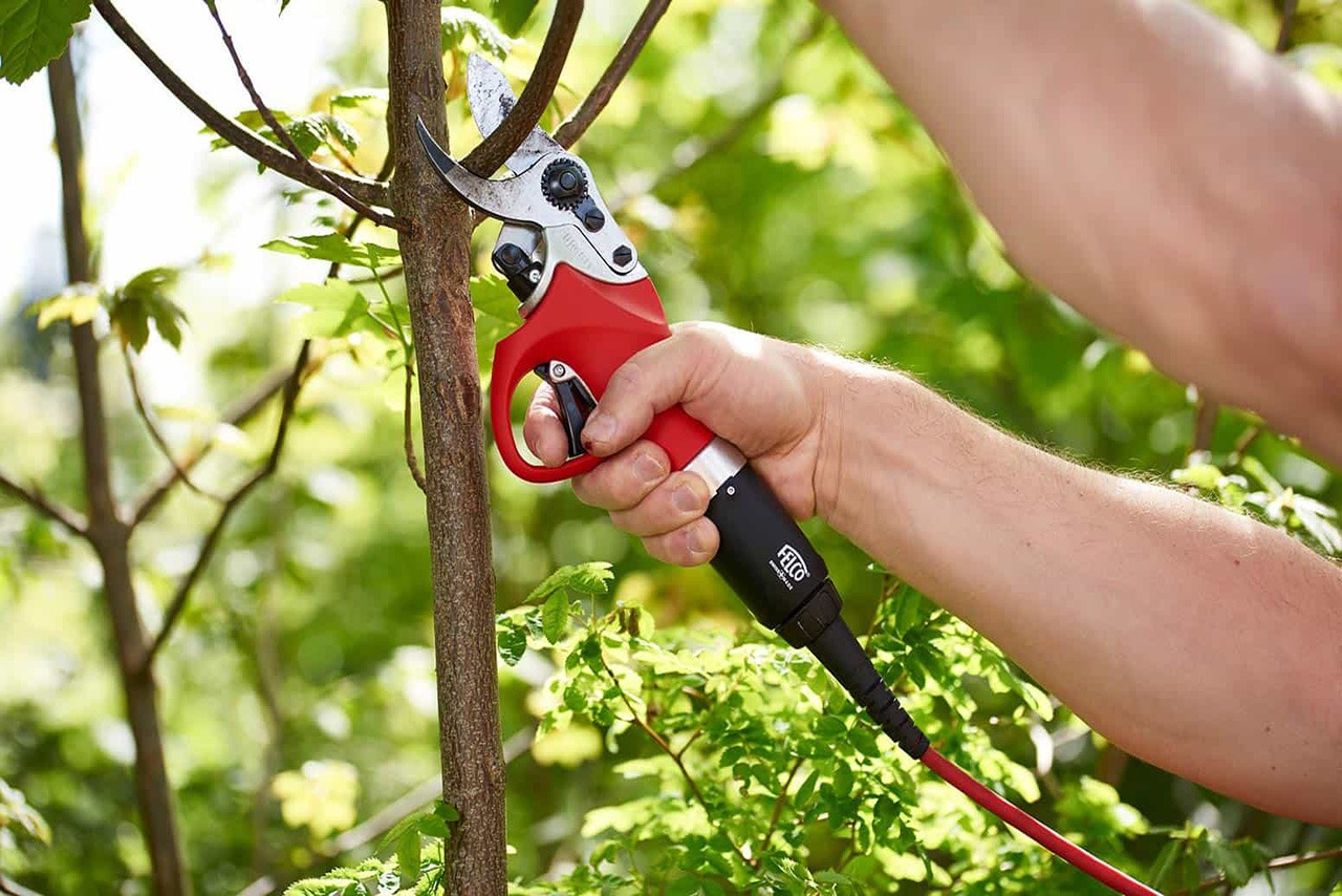 Sécateur FELCO ultra rapide puissant et précis. Ideal pour la taille et l'entretien de vos vignes et fruitiers. Sécateur FELCO ultra rapide puissant et précis. Ideal pour la taille et l'entretien de vos vignes et fruitiers.